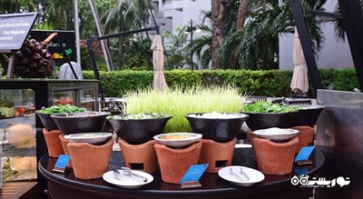 رستوران رستوران کافه گاردن شهر پاتایا 