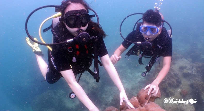 سرگرمی غواصی در پاتایا شهر تایلند کشور پاتایا