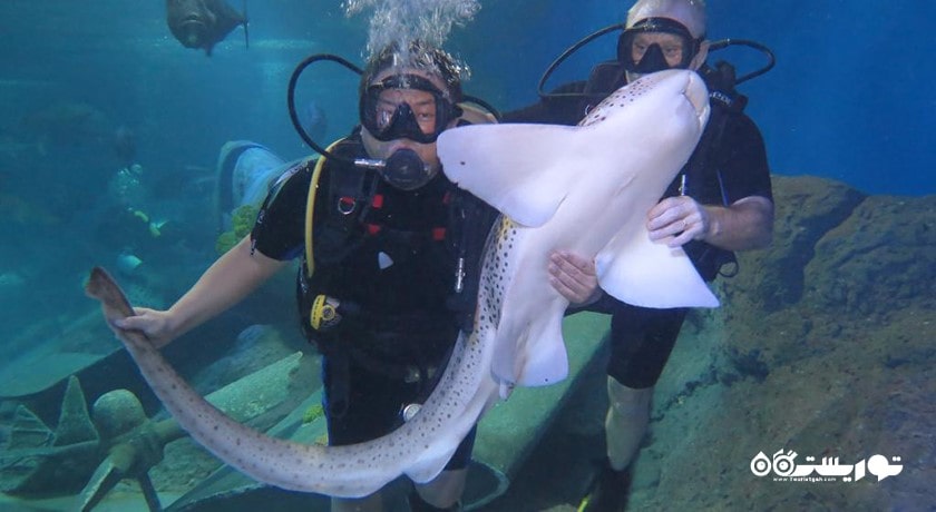 غواصی در پاتایا -  شهر پاتایا