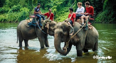 سرگرمی فیل سواری در پاتایا شهر تایلند کشور پاتایا
