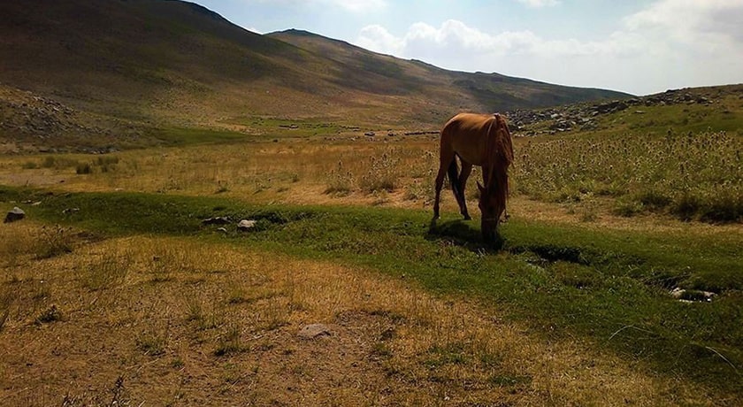 روستای وردیج و واریش -  شهر تهران