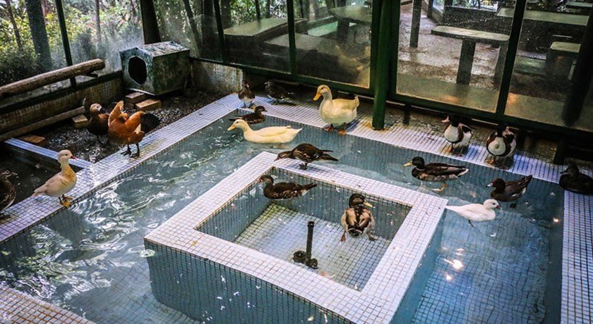  خانه دکتر حسابی (موزه پروفسور حسابی) شهرستان تهران استان تهران