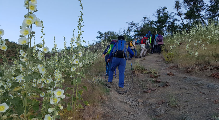  دره پیازچال شهر تهران استان تهران