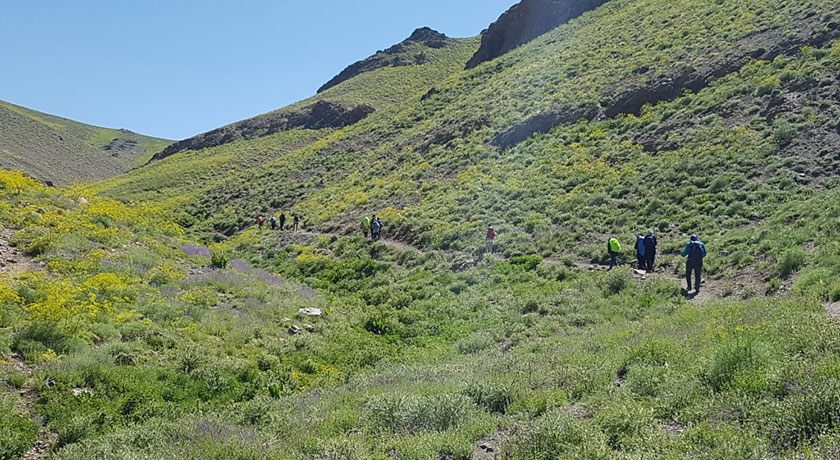  دره پیازچال شهر تهران استان تهران