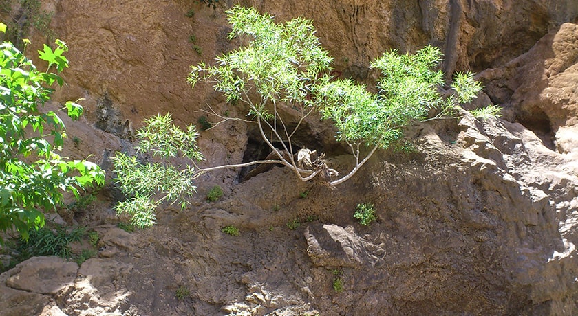  آبشار شاه لولاک شهرستان اصفهان استان لنجان