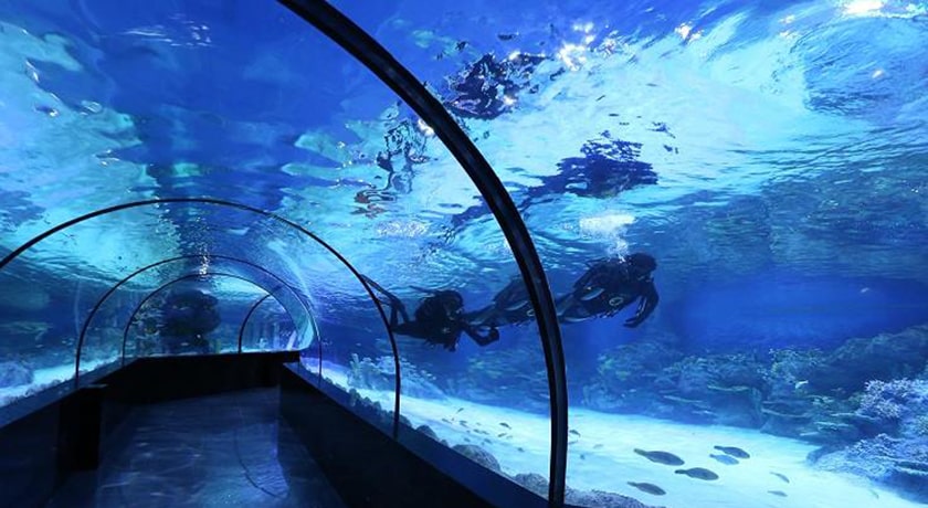  آکواریوم اصفهان شهر اصفهان استان اصفهان