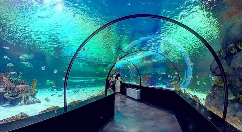  آکواریوم اصفهان شهر اصفهان استان اصفهان