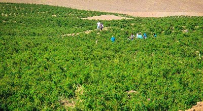 روستای سه -  شهر شاهین شهر