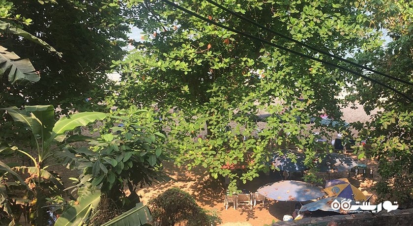 سرگرمی ساحل کوزی آیلند یا ساحل دنج در پاتایا شهر تایلند کشور پاتایا