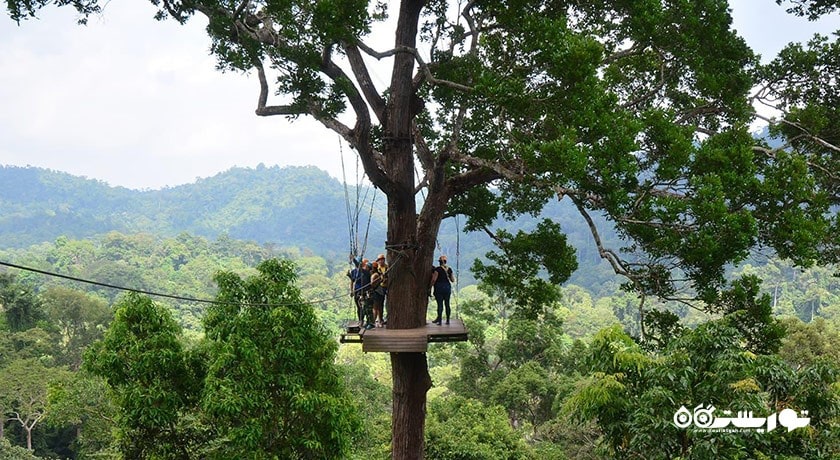 سرگرمی زیپ لاین در فلایت آف د گیبون شهر تایلند کشور پاتایا