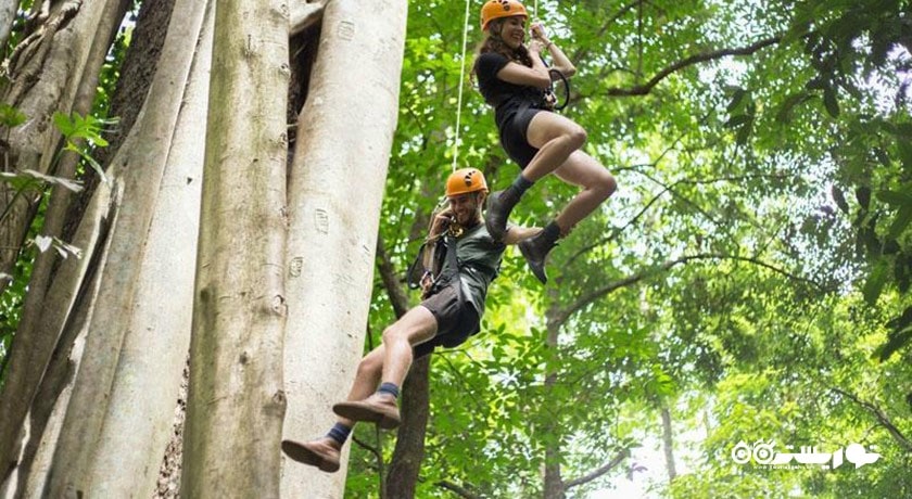 سرگرمی زیپ لاین در فلایت آف د گیبون شهر تایلند کشور پاتایا