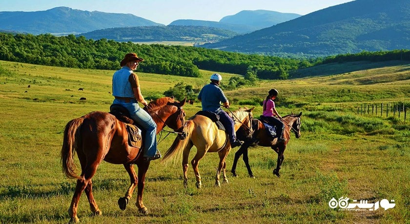 سرگرمی اسب سواری در پاتایا شهر تایلند کشور پاتایا