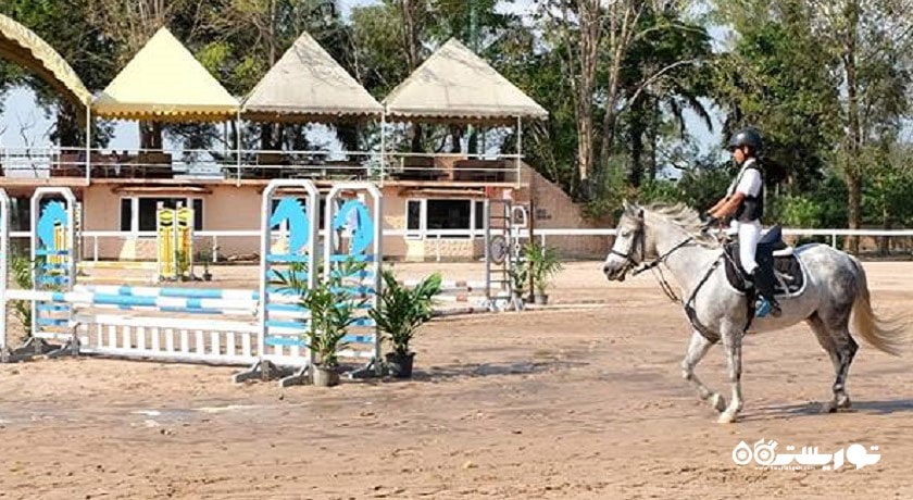 سرگرمی اسب سواری در پاتایا شهر تایلند کشور پاتایا