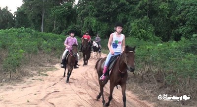 سرگرمی اسب سواری در پاتایا شهر تایلند کشور پاتایا