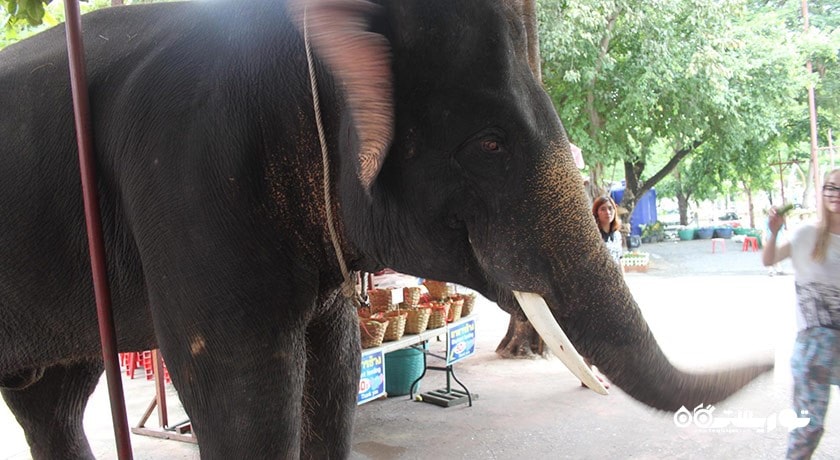 پارک چانگ سیام -  شهر پاتایا