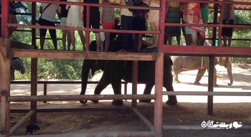 سرگرمی پارک چانگ سیام شهر تایلند کشور پاتایا