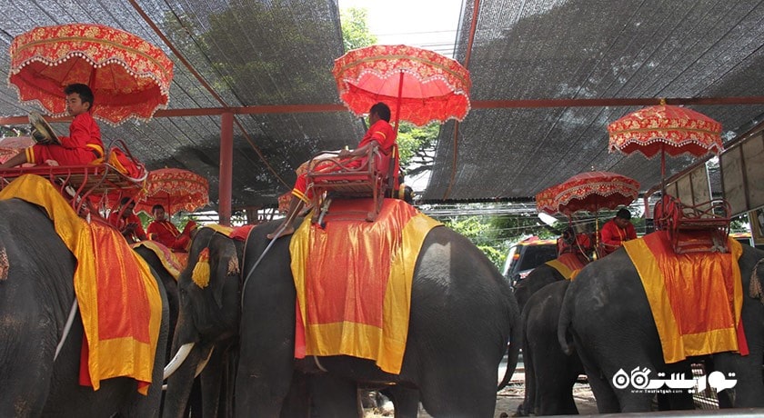 سرگرمی پارک چانگ سیام شهر تایلند کشور پاتایا