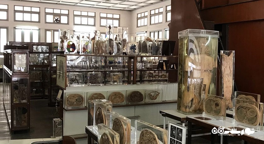  موزه پزشکی بانکوک شهر تایلند کشور بانکوک