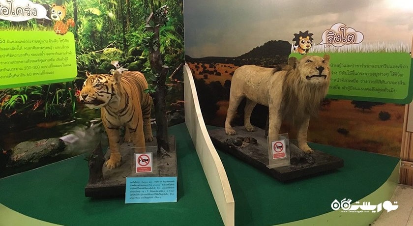  مو زه علوم و افلاک نمای بانکوک شهر تایلند کشور بانکوک