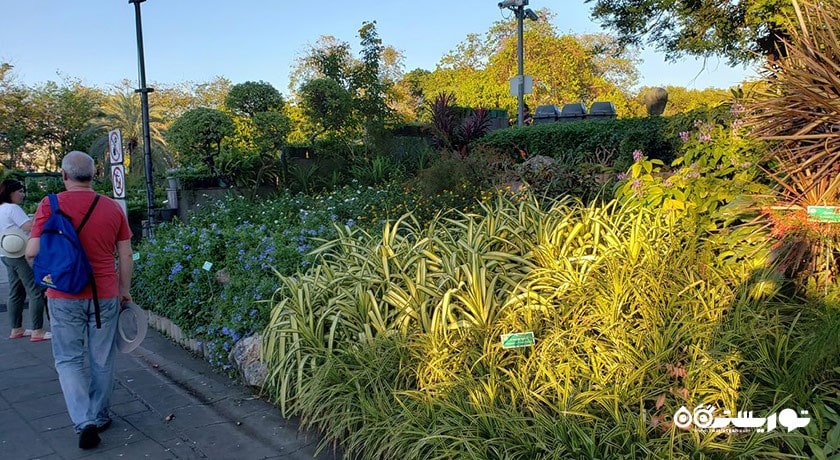 سرگرمی پارک رومانینات شهر تایلند کشور بانکوک