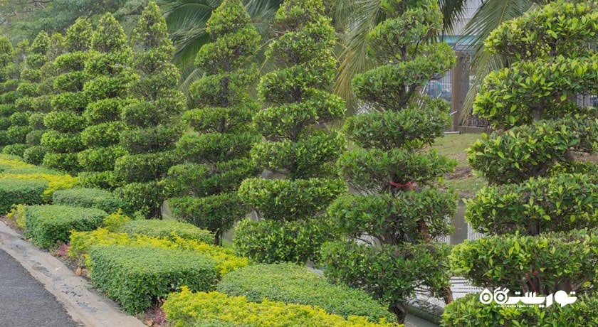 سرگرمی پارک راد فای شهر تایلند کشور بانکوک