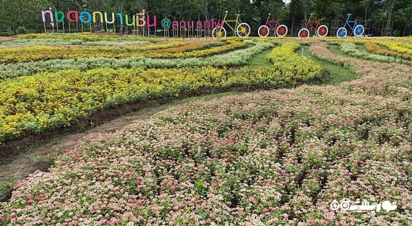 پارک راد فای -  شهر بانکوک