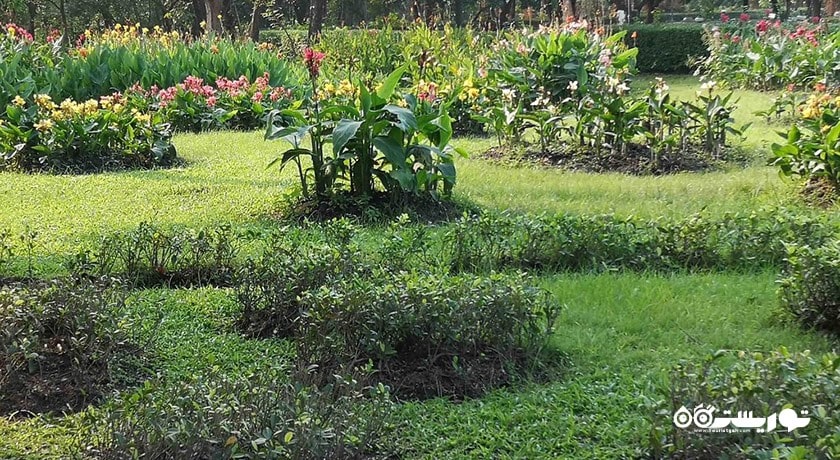 سرگرمی پارک راد فای شهر تایلند کشور بانکوک