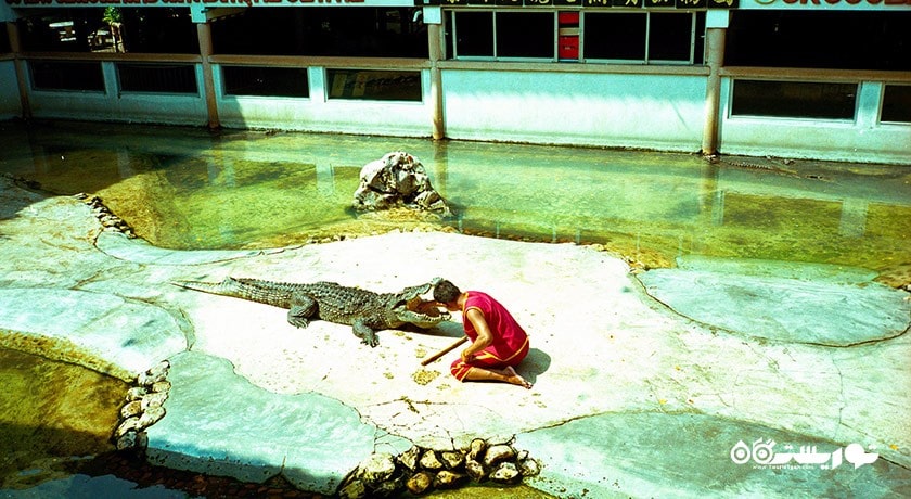 مزرعه کروکدیل ساموت پراکان -  شهر بانکوک