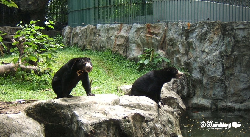 باغ وحش دوسیت -  شهر بانکوک