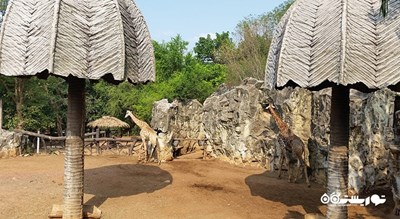 سرگرمی باغ وحش دوسیت شهر تایلند کشور بانکوک