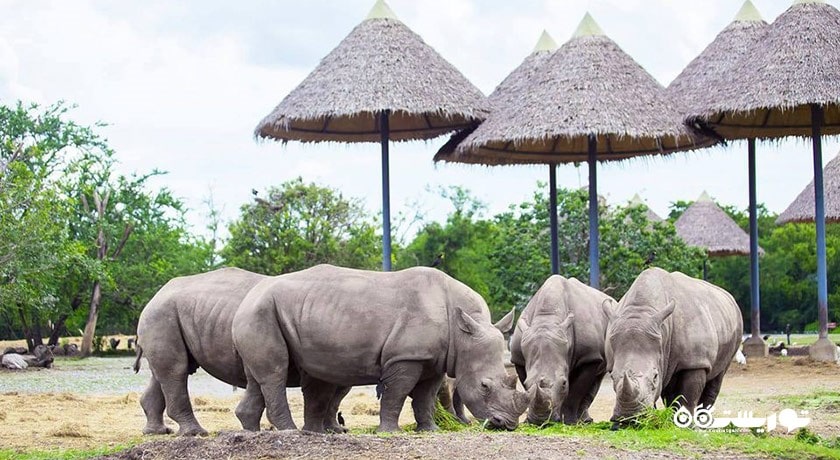 سرگرمی پارک و باغ وحش دنیای سافاری شهر تایلند کشور بانکوک