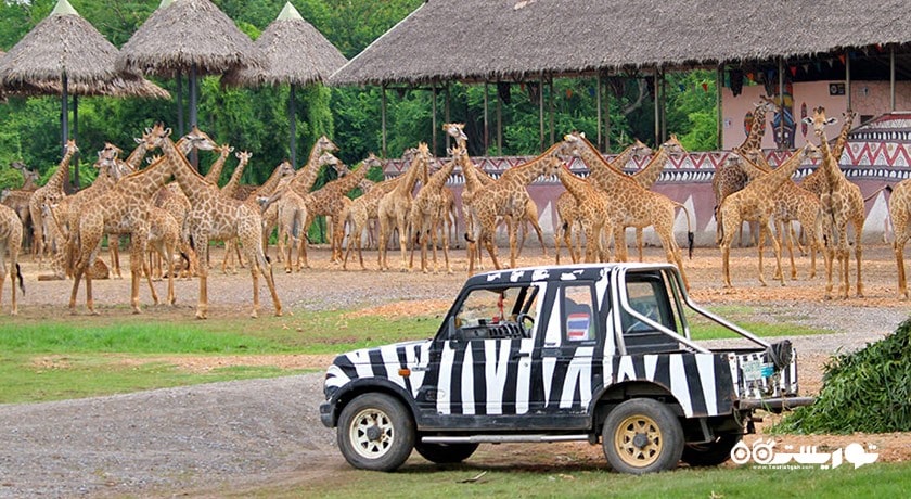 سرگرمی پارک و باغ وحش دنیای سافاری شهر تایلند کشور بانکوک