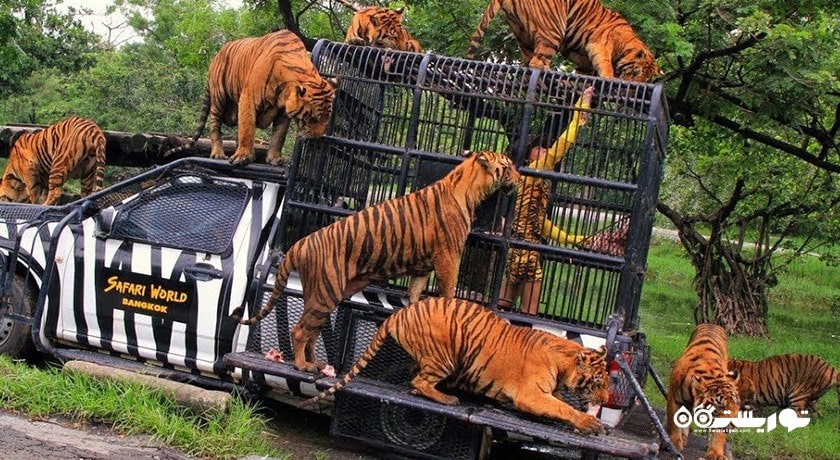 سرگرمی پارک و باغ وحش دنیای سافاری شهر تایلند کشور بانکوک
