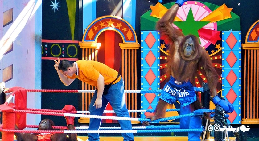 سرگرمی پارک و باغ وحش دنیای سافاری شهر تایلند کشور بانکوک