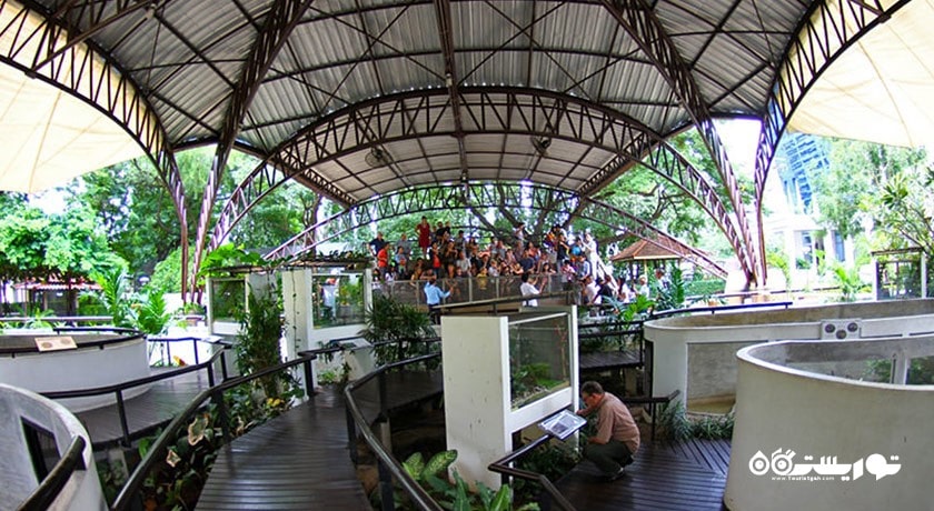 سرگرمی مزرعه مارها (موسسه یادبود ملکه ساووابها) شهر تایلند کشور بانکوک