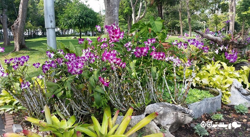 باغ سارانروم -  شهر بانکوک