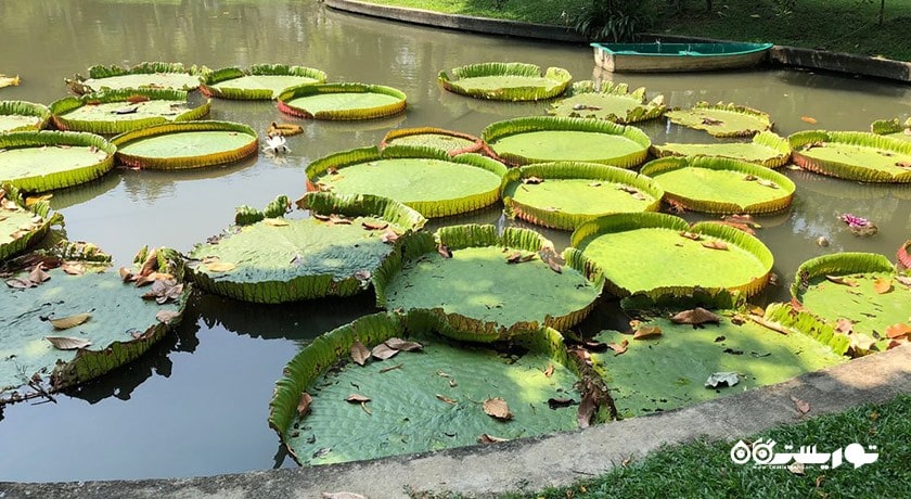 سرگرمی باغ سارانروم شهر تایلند کشور بانکوک