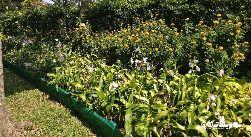 سرگرمی باغ سارانروم شهر تایلند کشور بانکوک