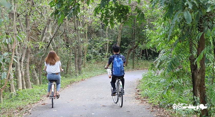 سرگرمی باغ گیاه شناسی و پارک سی ناکان کوین کان شهر تایلند کشور بانکوک