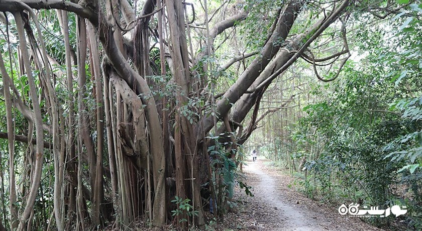 سرگرمی باغ گیاه شناسی و پارک سی ناکان کوین کان شهر تایلند کشور بانکوک