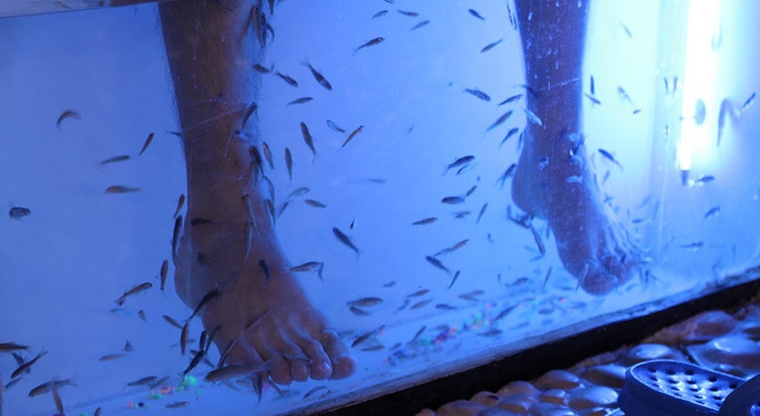 دهکده آبی پارس -  شهر تهران