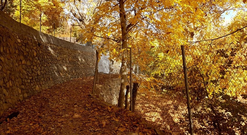  روستای برگ جهان شهرستان تهران استان تهران