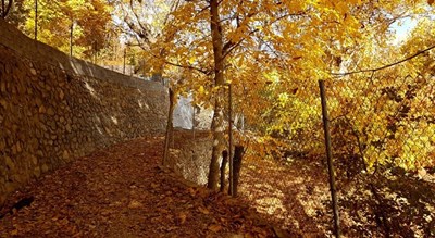  روستای برگ جهان شهرستان تهران استان تهران