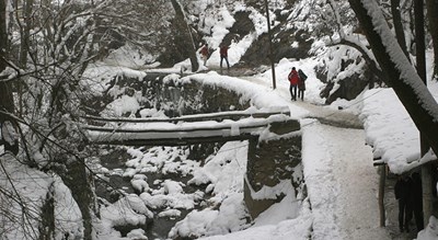  محله سربند تهران شهرستان تهران استان تهران