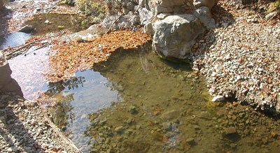  محله سربند تهران شهرستان تهران استان تهران