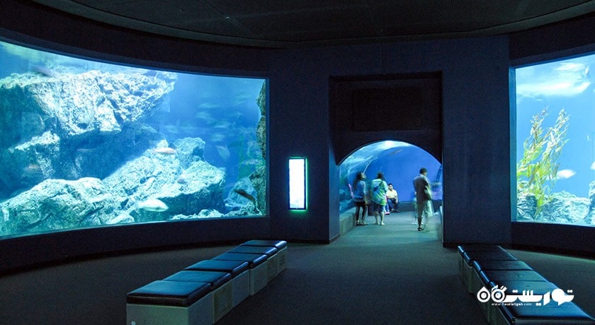 مرکز خرید مرکز خرید سیام پاراگون شهر تایلند کشور بانکوک