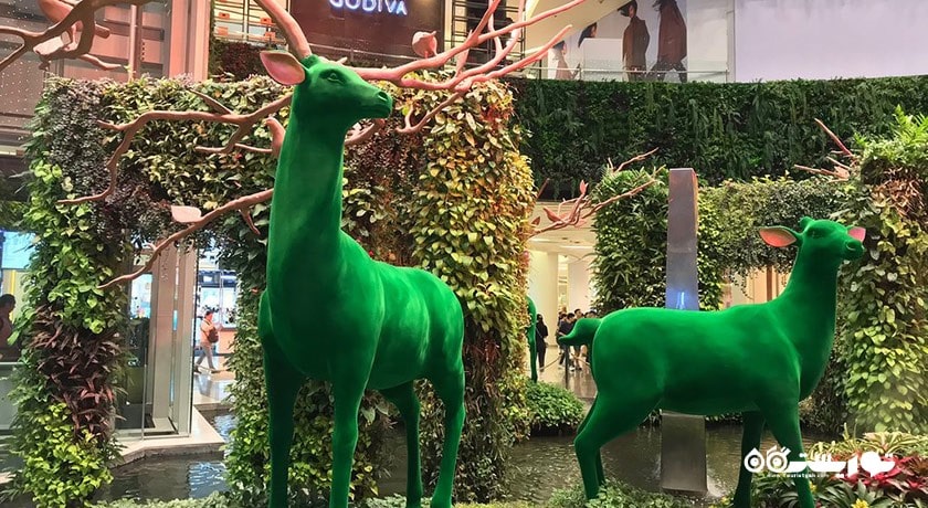 مرکز خرید مرکز خرید سیام شهر تایلند کشور بانکوک