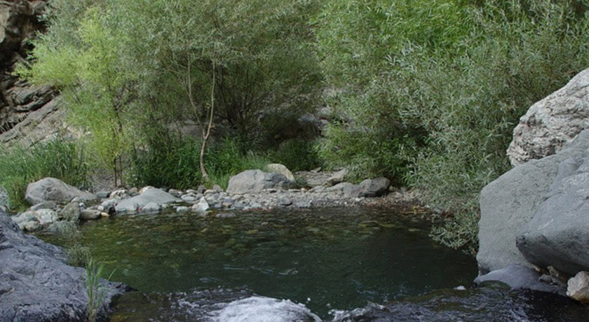  کوه دره دارآباد شهر تهران استان تهران