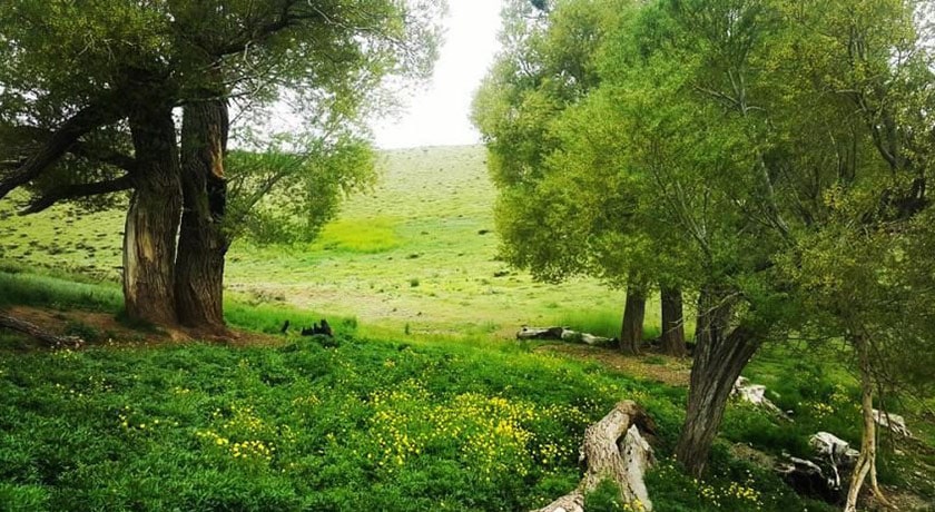 گلستان کوه خوانسار -  شهر خوانسار