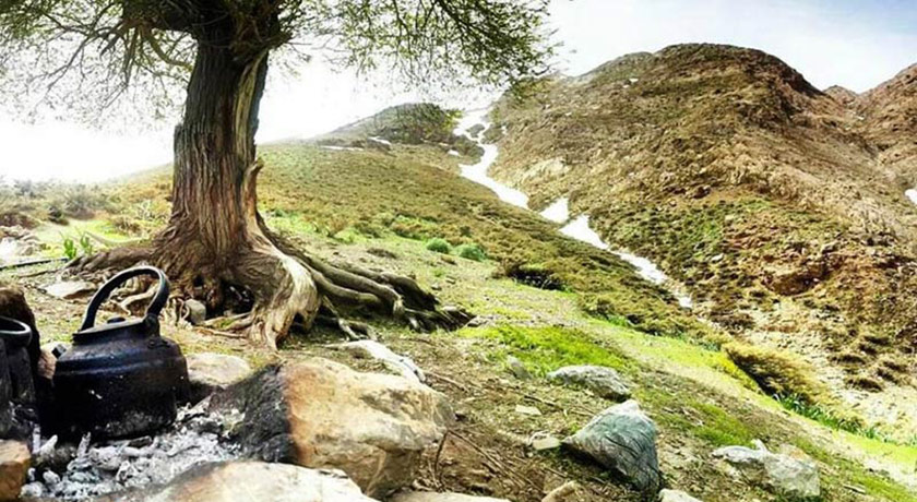 گلستان کوه خوانسار -  شهر خوانسار